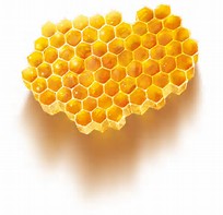 La Parenthèse Eco " Que faire avec la cire d'abeille ? " La Parenthèse Eco " Que faire avec la cire d'abeille ? "