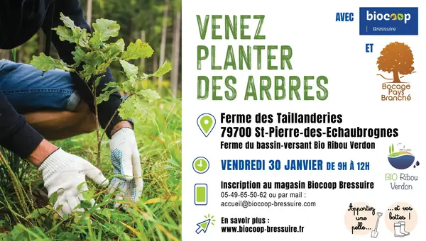 🌳 Venez planter des arbres avec nous ! 🌳